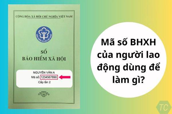 Mã số bảo hiểm xã hội là gì? Cách tra cứu mã số bảo hiểm xã hội